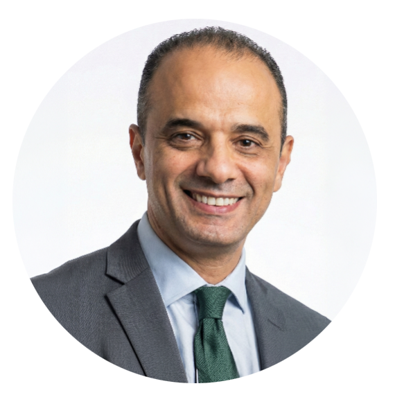 Prof. Hatem El-Damanhoury